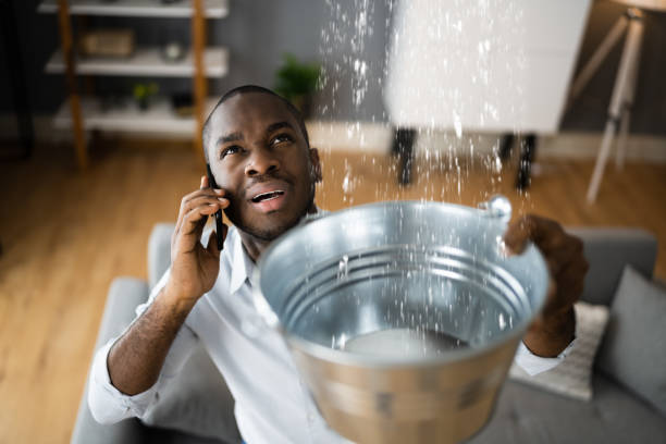 Best Dehumidification and Moisture Control in USA